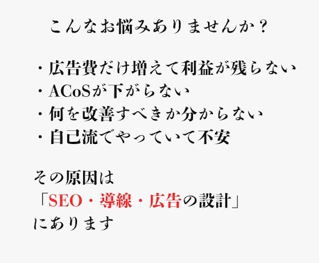 Amazon広告SEO診断 改善提案します 広告・SEO・導線を総合分析し改善提案 イメージ2