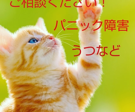 心理カウンセラーが今辛い気持ちをお聞き致します 3日間チャットし放題！回数制限なしであなたのお話お聞きします イメージ1