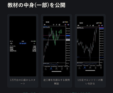 1万円を500万円にした手法教えます 専業になるための資金をコレで作りました イメージ2