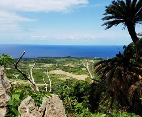 ガイドブックにない沖縄本島旅行プランを考えます ☆移住者ならではの視点でより楽しめるプランを提案します！ イメージ2