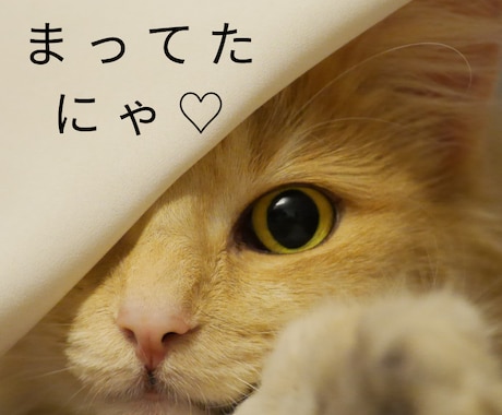 1週間チャットでのんびり♪あなたの心に寄り添います 気軽にゆっくりペースでお話できる♡人間関係/愚痴/雑談 イメージ1