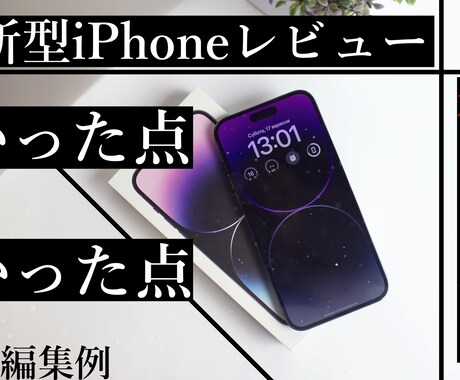カット編集、切り抜きなどを格安に制作します 安価で丁寧、見やすい動画を作ります！ イメージ2