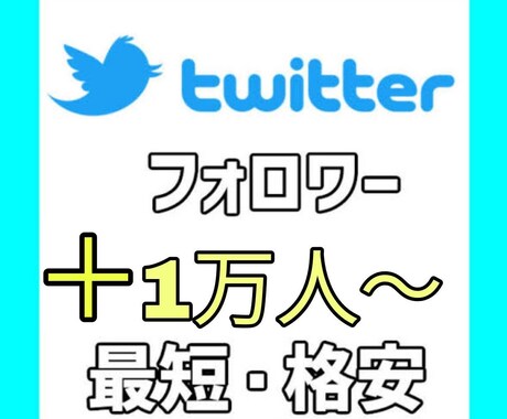 Twitterのフォロワー【1万人】増やします Twitter集客・フォロワー増やし・宣伝・拡散手伝います！ イメージ1