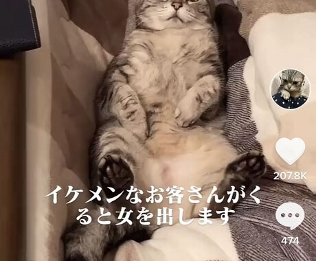 TikTokでバズる動画を作成します 【思わず見てしまう】引き付けのあるショート動画を作成します！ イメージ2