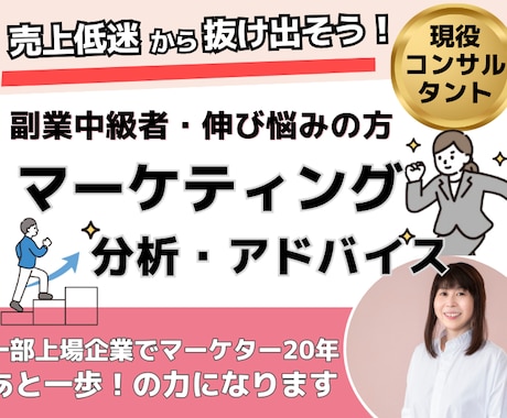 プロコンサル　マーケティング相談おうけします 元一部上場企業マーケッターがプロの目で分析とアドバイス イメージ1