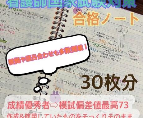 私が勉強した資料を販売致します エビデンスやイラスト付き☻☺︎分かりやすい！点数アップ！ イメージ1