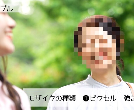 動画へのモザイク処理、承ります 面倒なモザイク処理を動画編集のプロが迅速に! イメージ1