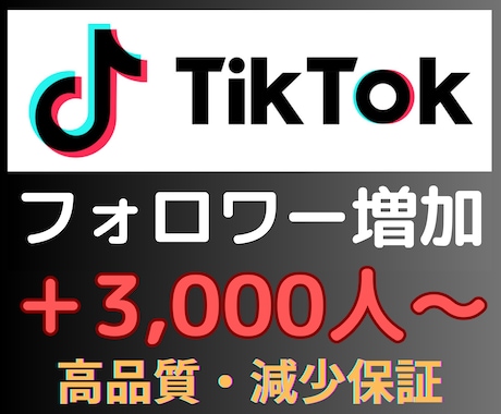 TikTokのフォロワー+3,000人〜増加します TikTokのフォロワー増加｜【30日間減少保証付き】高品質 イメージ2