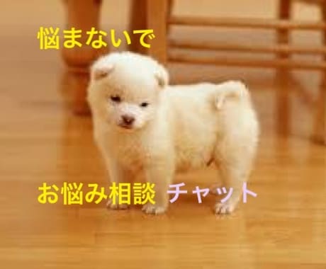 お気軽に！チャットでお話なんでもききます 電話でのお悩み相談が難しいかたに！ イメージ1