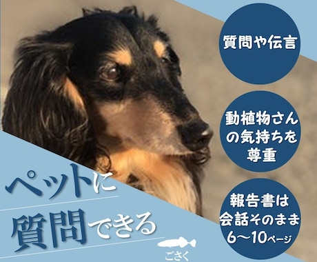 動物質問伝言コース♥動植物さんに伝えます ～質問伝言・お返事受け取り・動植物さんを尊重～ イメージ1