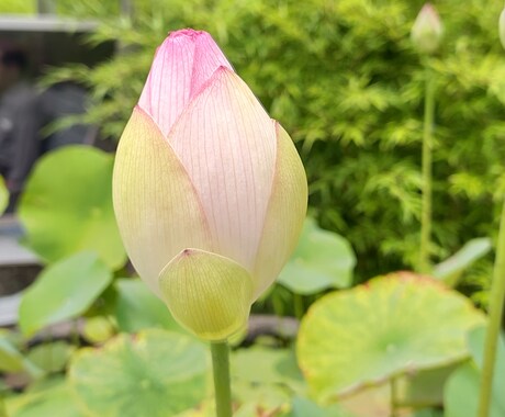 お試し》悩んでいませんか？お話聞きます 貴方のお悩みをカードセッションで紐解きます。 イメージ2