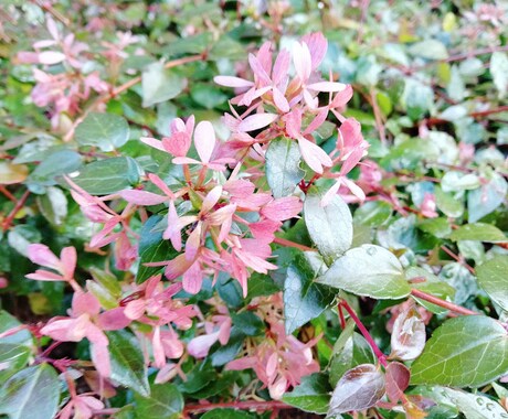 人間関係【上位版】あの人との未来は？深掘りします 恋愛＊親子＊夫婦＊友達＊上司＊部下＊同僚＊仕事関係＊親族間等 イメージ1