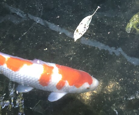 好きな人の気持ち占います あなたが不安に思っていること、占います！ イメージ1