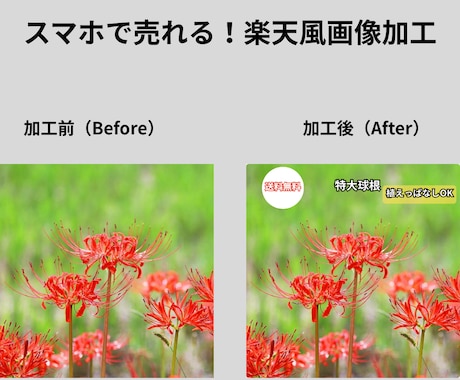 楽天・yahoo売れる商品画像加工します スマホ視認性117％！パッと目を引く極太縁取りとレイアウト イメージ2