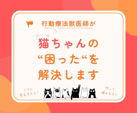 行動専門獣医師が猫の"困った行動"を解決します ★出品記念の為、初回5名まで最低価格でお受けします★ イメージ1