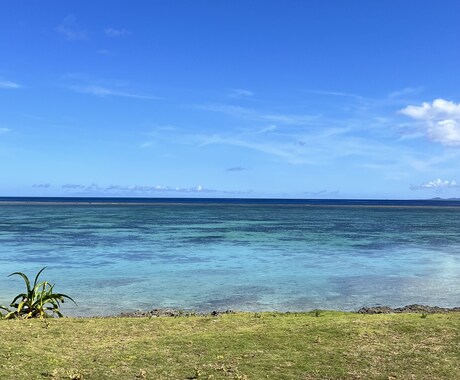 沖縄北部の海況と観光相談に乗ります 現地在住者が安全第一で沖縄北部観光をご提案 イメージ2