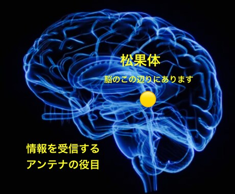 ドラゴン・ゲート開門！松果体活性化します 限定30名！運命の境界線を超える龍の最上級エネルギーワーク イメージ2