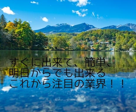 すぐできる❗️のに堅実、本業レベル✅の副業教えます 1日6桁レベル、✅オプションで完全在宅型に⭕️なのに簡単❗️ イメージ1