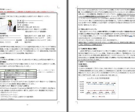 カウンセラー★持続化補助金採択書類をお譲りします 採択済みの事業計画書を【テンプレート】としても利用できます！ イメージ2