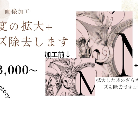 低解像度の写真、画像を拡大、ノイズ除去いたします せっかく作ったロゴやデザインの解像度上げませんか？ イメージ1