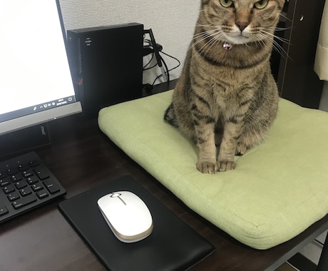 パソコンの相談受けます 現役社内システムエンジニアがご相談受けます イメージ1