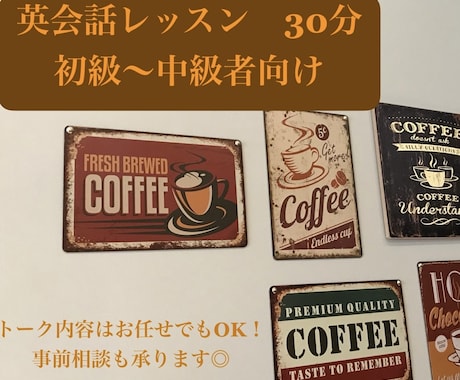 初心者〜中級者向けの英会話レッスンします 英語を話す時間を作ってみましょう！ イメージ1