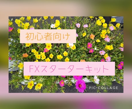 FXスターターキット教えます 今からFXについて学びたい初心者向けです！ イメージ1