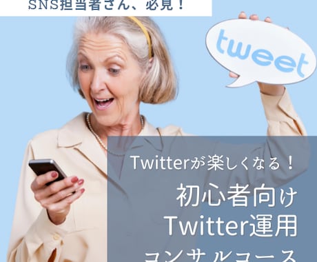 わかりやすい！Twitter運用をお教えします Twitter初心者さん・SNS担当者さんにおすすめ！ イメージ1