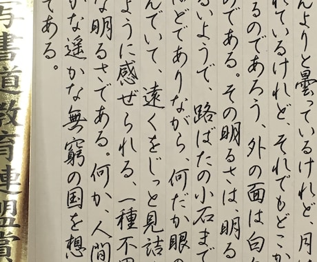 お手紙、履歴書など、丁寧に代筆いたします 書道歴11年（硬筆・毛筆・ペン字経験者）が代筆いたします！