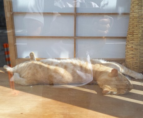 まずは現状維持！！ちょっとだけお供します 自称「プロの引きこもり」と一緒に先ずは明日を迎えませんか。 イメージ2