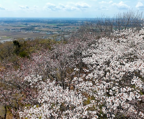 シンプルプラン！短時間カットを手頃に空撮します 短時間でも高画質、ダイナミックで印象的シーン撮影が可能です イメージ2