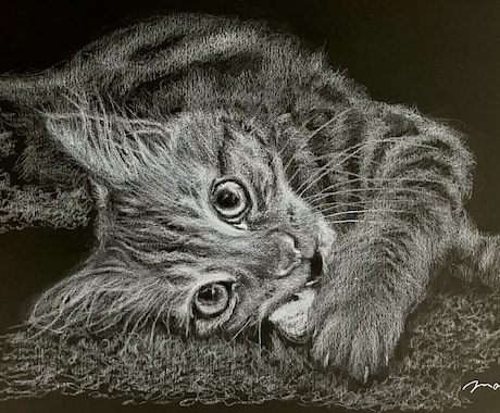 黒紙に白色鉛筆でリアルな絵を描きます 他にはない黒紙に白色鉛筆だけでリアルな質感で絵を描きます イメージ1