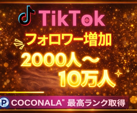 TikTokフォロワーを増加します TikTokフォロワー宣伝・拡散！いいね・再生数も対応可能！ イメージ1