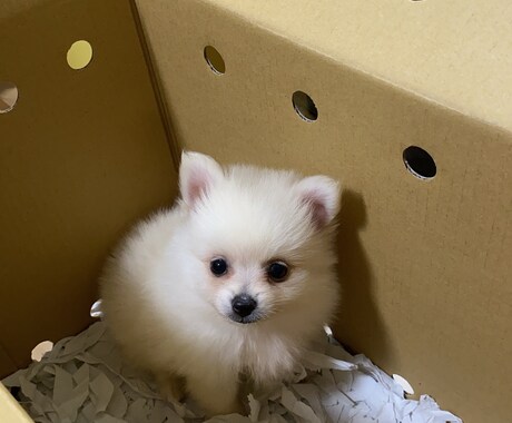 画像からテキストデータにします イメージ1