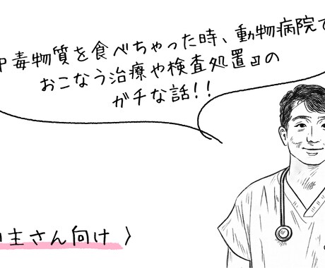 飼い主さんを1ヶ月間、総合的にフォローアップします 『治療時の動物の気持ち』や『在宅ケア』や『予防』にフォーカス イメージ1