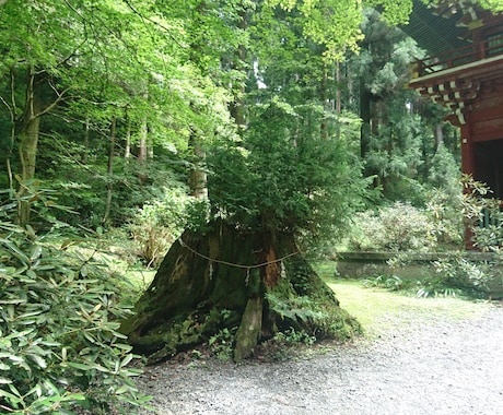 彼氏、既婚の方、相手がいて辛い状況の方みます 辛い状況の改善を目的とした悩み、どうしたら良いのか イメージ1
