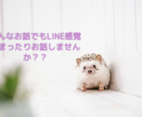 LINE感覚で気軽にお喋りします 直接話すのが苦手な方もLINEのようにゆるーくお喋りできます イメージ1