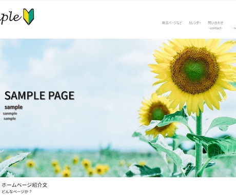 HP作成実績ないので格安でします HP作成と運用のアドバイスします。 イメージ1