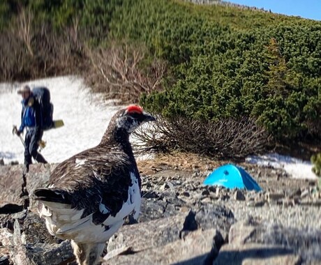 北アルプス・八ヶ岳の安全登山をアドバイスします /初心者でも安全に楽しむコース選びと装備相談を受付中！！ イメージ2