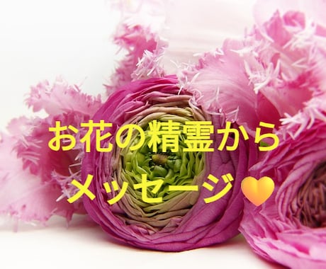 お花の精霊からスピリチュアルメッセージ届きます 10種類の写真から気になるお花を選んで下さい イメージ1