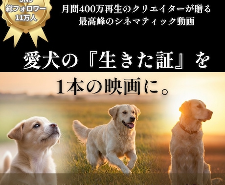 月間400万再生！愛犬の記憶を蘇らせる動画作ります SNS総フォロワー１２万人！ AI技術で愛犬を映画の主人公に イメージ1