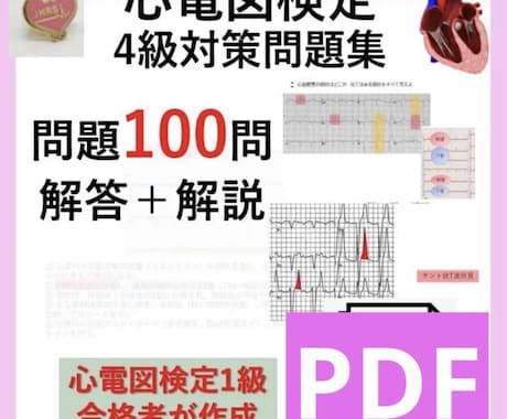 心電図検定4級対策PDFをお売りします 心電図検定1級取得者が作成した心電図検定対策セット！ イメージ1