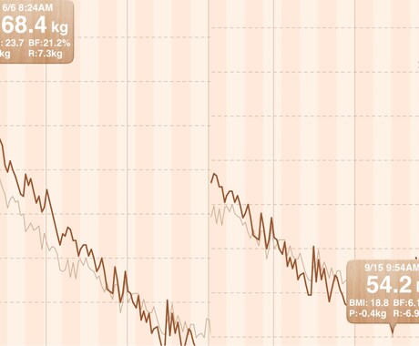 100日で14kg減に成功した経験を細かく話します 無理なく楽しくできることを見つけて、それを継続すれば可能です イメージ1