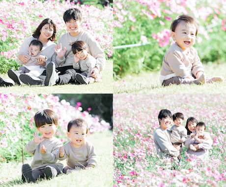 公園や自宅で家族写真撮影します 家族の自然な表情や笑顔を撮影します イメージ2