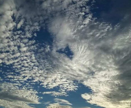 あなたの代わりに写真撮影をします 写真撮影を代行して写真を提供します イメージ2
