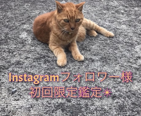 期間限定！ご希望のジャンルを掘り下げて読みます インスタ経由で初めての方！限定価格で読ませて頂きます✴︎ イメージ1