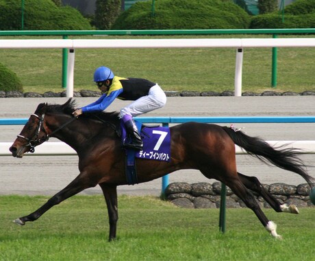 競馬教えます 一緒に競馬予想、購入して楽しみませんか? イメージ1