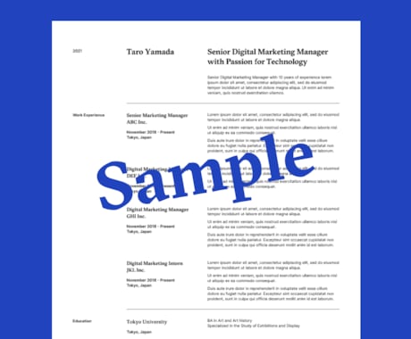 欧米で勤務したデザイナーが英文履歴書デザインします ヨーロッパ現地企業に3回就職、採用マネージャーを担当 イメージ2
