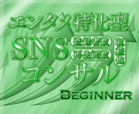 エンタメ特化型SNS運用のHow-to教えます ✅ココナラ初出品記念につき先着3名様限定割引中！✅ イメージ1