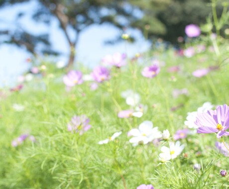 普通の人ですが、あなたのお話聞きます 友達や家族に言いづらいこと、ぜひ私にお話しください＾＾ イメージ1